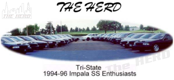 main.jpg - The HERD is a local car club primarily for those in Northern Illinois, Southern Wisconsin and Northwestern Indiana. When I say club, I mean a grass roots organization for the advancement of the interest in the last big V-8 RWD cars to roll off the lines at GM. It is not a business, but a hobby.